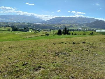 Terreno en  VENTA SECTOR AYORA CAYAMBE
