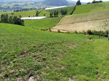 Terreno en  VENTA SECTOR AYORA CAYAMBE
