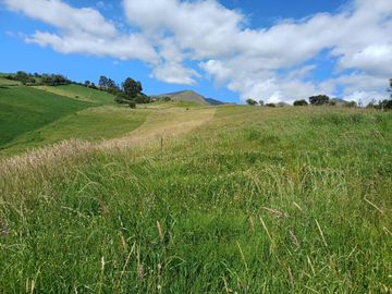 Terreno en  VENTA SECTOR AYORA CAYAMBE