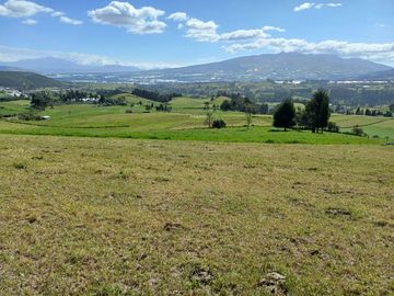 Terreno en  VENTA SECTOR AYORA CAYAMBE
