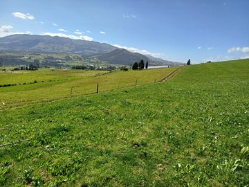 Terreno en  VENTA SECTOR AYORA CAYAMBE