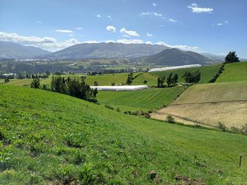 Terreno en  VENTA SECTOR AYORA CAYAMBE