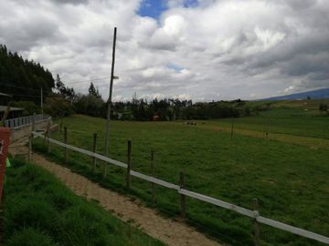 HERMOSA PROPIEDAD DE 5 HECTARES PLANAS SECTOR PAQUIESTANCIA