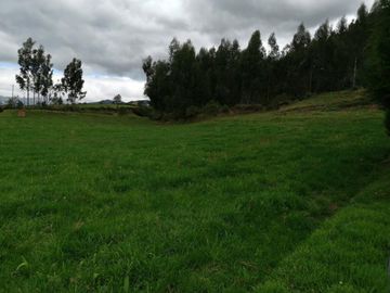 HERMOSA PROPIEDAD DE 5 HECTARES PLANAS SECTOR PAQUIESTANCIA