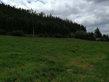 HERMOSA PROPIEDAD DE 5 HECTARES PLANAS SECTOR PAQUIESTANCIA