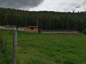 HERMOSA PROPIEDAD DE 5 HECTARES PLANAS SECTOR PAQUIESTANCIA