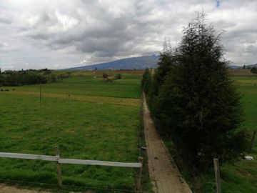 HERMOSA PROPIEDAD DE 5 HECTARES PLANAS SECTOR PAQUIESTANCIA