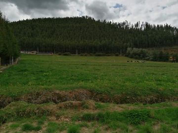 HERMOSA PROPIEDAD DE 5 HECTARES PLANAS SECTOR PAQUIESTANCIA