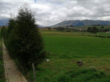 HERMOSA PROPIEDAD DE 5 HECTARES PLANAS SECTOR PAQUIESTANCIA