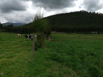 HERMOSA PROPIEDAD DE 5 HECTARES PLANAS SECTOR PAQUIESTANCIA