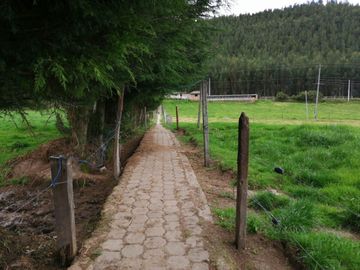 HERMOSA PROPIEDAD DE 5 HECTARES PLANAS SECTOR PAQUIESTANCIA