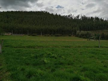 HERMOSA PROPIEDAD DE 5 HECTARES PLANAS SECTOR PAQUIESTANCIA