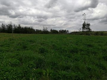 HERMOSA PROPIEDAD DE 5 HECTARES PLANAS SECTOR PAQUIESTANCIA