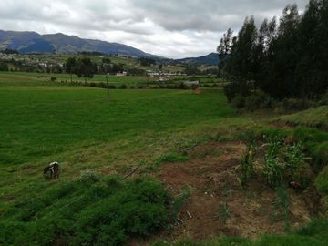 HERMOSA PROPIEDAD DE 5 HECTARES PLANAS SECTOR PAQUIESTANCIA