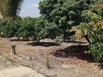 3 Bedroom House for sale in Wiang, Chiang Mai