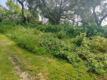 SE VENDE TERRENO DE 375.15M2 UBICADO EN  SANTIAGO TLALTEPAXCO, HUEHUETOCA, MEX.