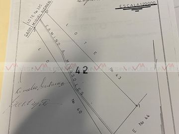 Venta Terreno Comercial Dr. González En Doctor González