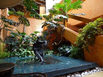 Casa venta con Jardín en Tlacopac San Angel