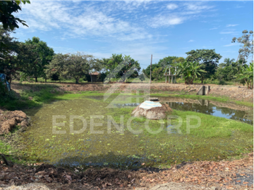 Finca en Recinto El Limonal
