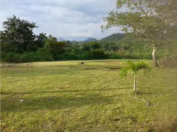 PROYECTO 35 VILLAS 10.6 HECTREAS PENONOME