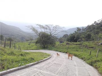 Venta Finca Ganadera o Piscicola Ubicada en Guaduas Cundinamarca
