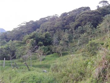 Venta Finca Ganadera o Piscicola Ubicada en Guaduas Cundinamarca