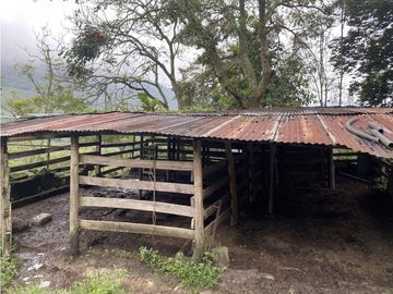 Venta Finca Ganadera o Piscicola Ubicada en Guaduas Cundinamarca