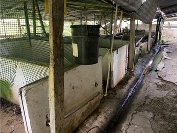Venta Finca Ganadera o Piscicola Ubicada en Guaduas Cundinamarca