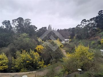 Departamento en Venta en Camino Los Ingleses