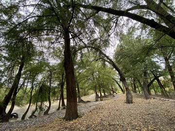 HACIENDA EN VENTA EN EL POBLADO EL FRAILE ZONA MONTEMORELOS
