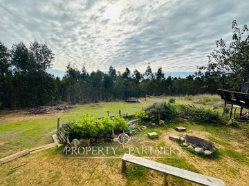 Pichilemu, Acogedora Casa en el Bosque Pangal
