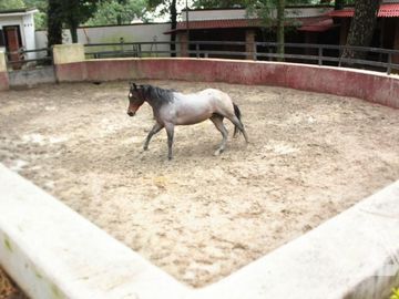 Venta Rancho  Hípico en Huitzilac / Morelos