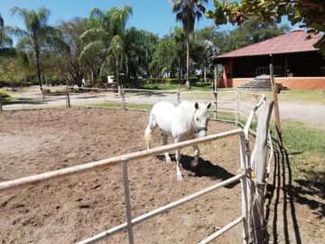 Rancho  en Venta en Las Palmas, Puente de Ixtla Morelos