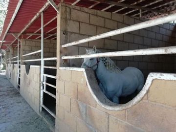 Rancho  en Venta en Las Palmas, Puente de Ixtla Morelos