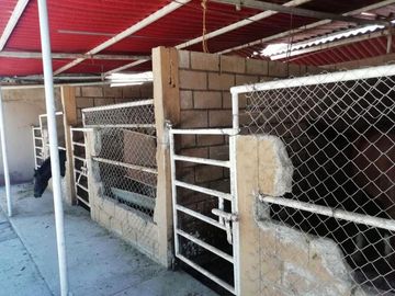 Rancho  en Venta en Las Palmas, Puente de Ixtla Morelos