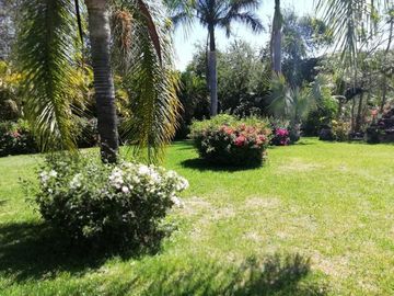 Rancho  en Venta en Las Palmas, Puente de Ixtla Morelos