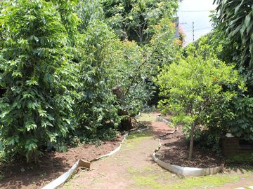 Venta y Renta de Casa sola frente al Lienzo Charro, Cuernavaca Morelos