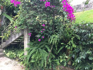 Venta y Renta de Casa sola frente al Lienzo Charro, Cuernavaca Morelos