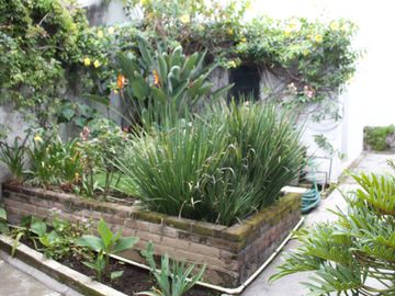 Venta y Renta de Casa sola frente al Lienzo Charro, Cuernavaca Morelos