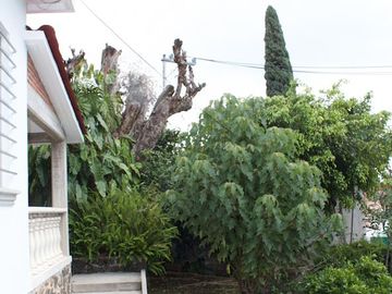 Venta y Renta de Casa sola frente al Lienzo Charro, Cuernavaca Morelos