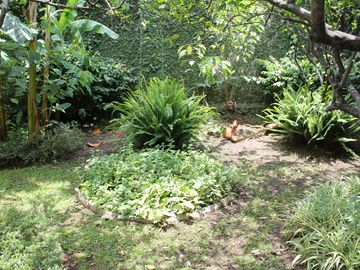 Venta y Renta de Casa sola frente al Lienzo Charro, Cuernavaca Morelos