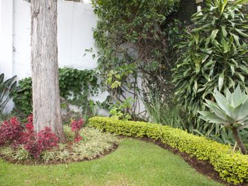 Venta y Renta de Casa sola frente al Lienzo Charro, Cuernavaca Morelos