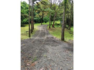 VENTA CASA TOTALMENTE AMOBLADA EN ALTOS DEL MARIA 1500 MT2