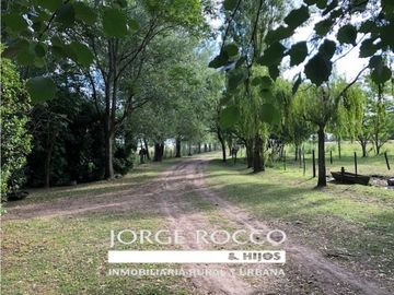 Campo en venta en Brandsen. 126 Has. mixto