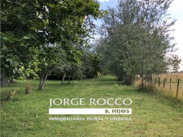 Campo en venta en Brandsen. 126 Has. mixto