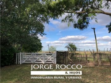 Campo en venta en Brandsen. 126 Has. mixto