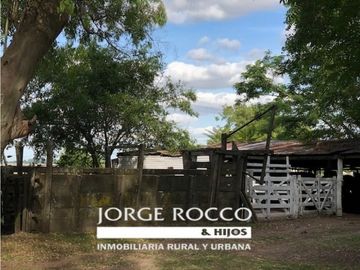 Campo en venta en Brandsen. 126 Has. mixto