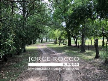 Campo en venta en Brandsen. 126 Has. mixto