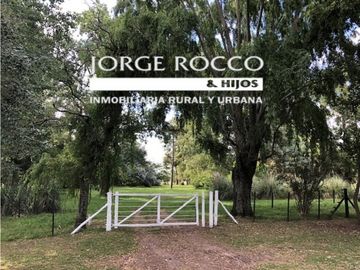 Campo en venta en Brandsen. 126 Has. mixto