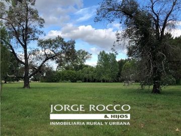 Campo en venta en Brandsen. 126 Has. mixto
